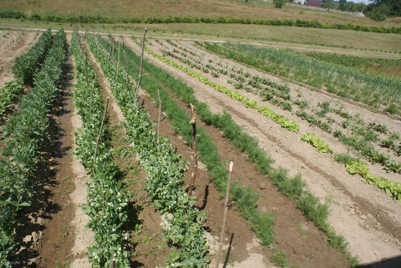Agrodomki Okej -Dom Kasjan Gardna Wielka Bagian luar foto